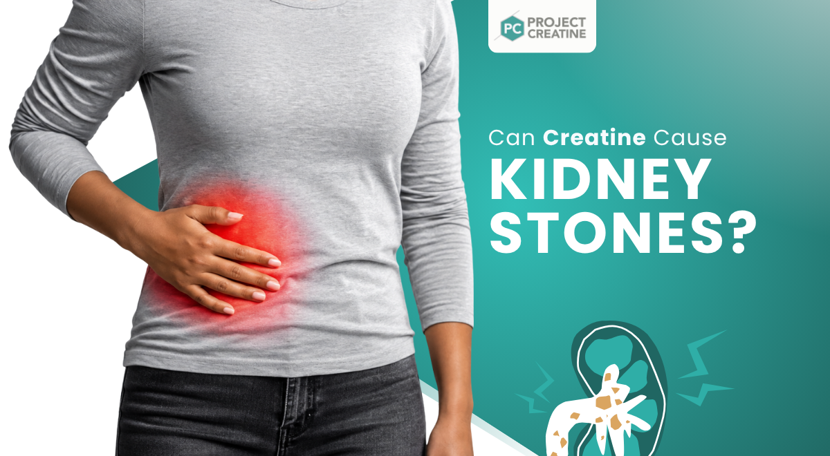 can creatine cause kidney stones